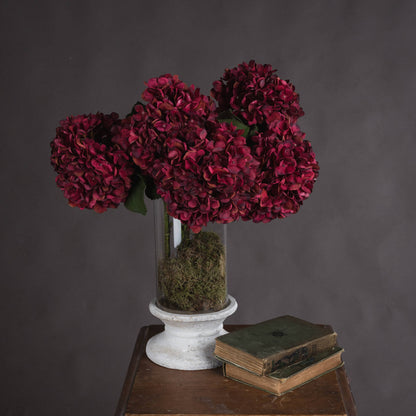 Autumn Ruby Hydrangea - RED