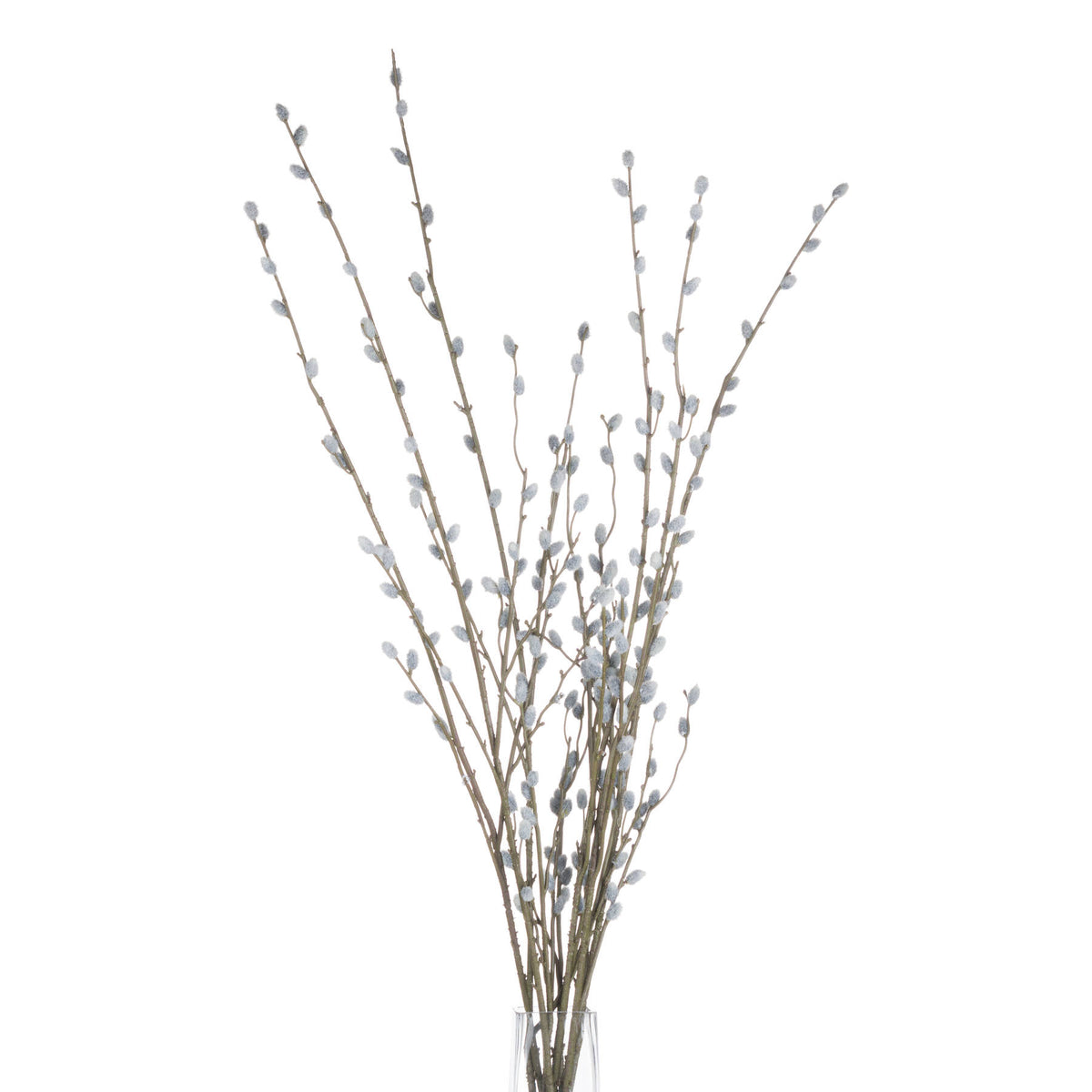 Pussy Willow Branch - BROWN