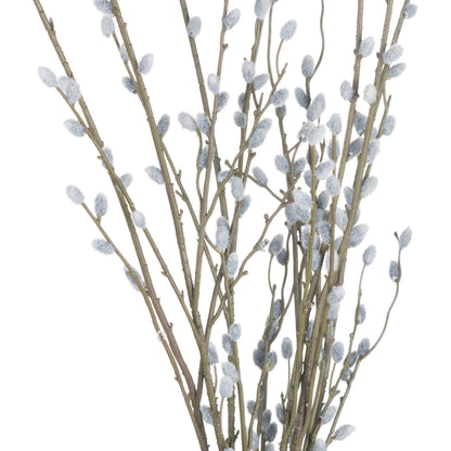 Pussy Willow Branch - BROWN