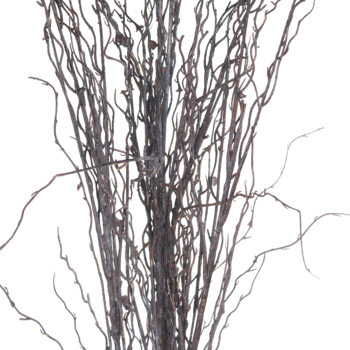Branch Spray - BROWN