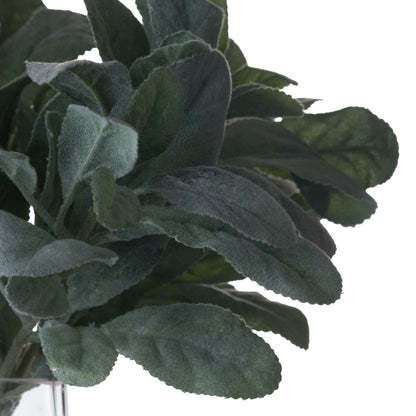 Lambs Ear Spray - GREEN