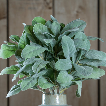 Lambs Ear Spray - GREEN