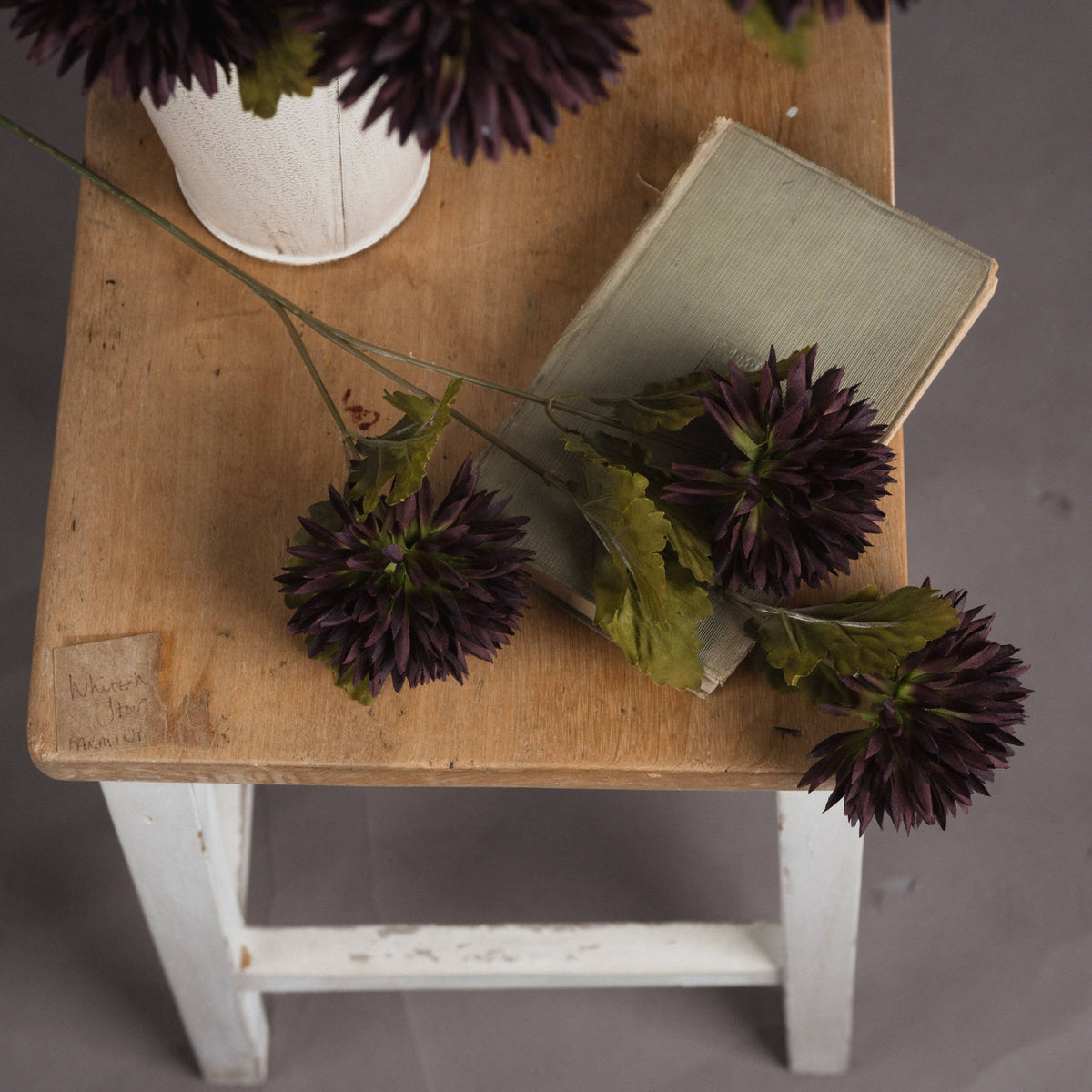 Chocolate Chrysanthemum - BROWN