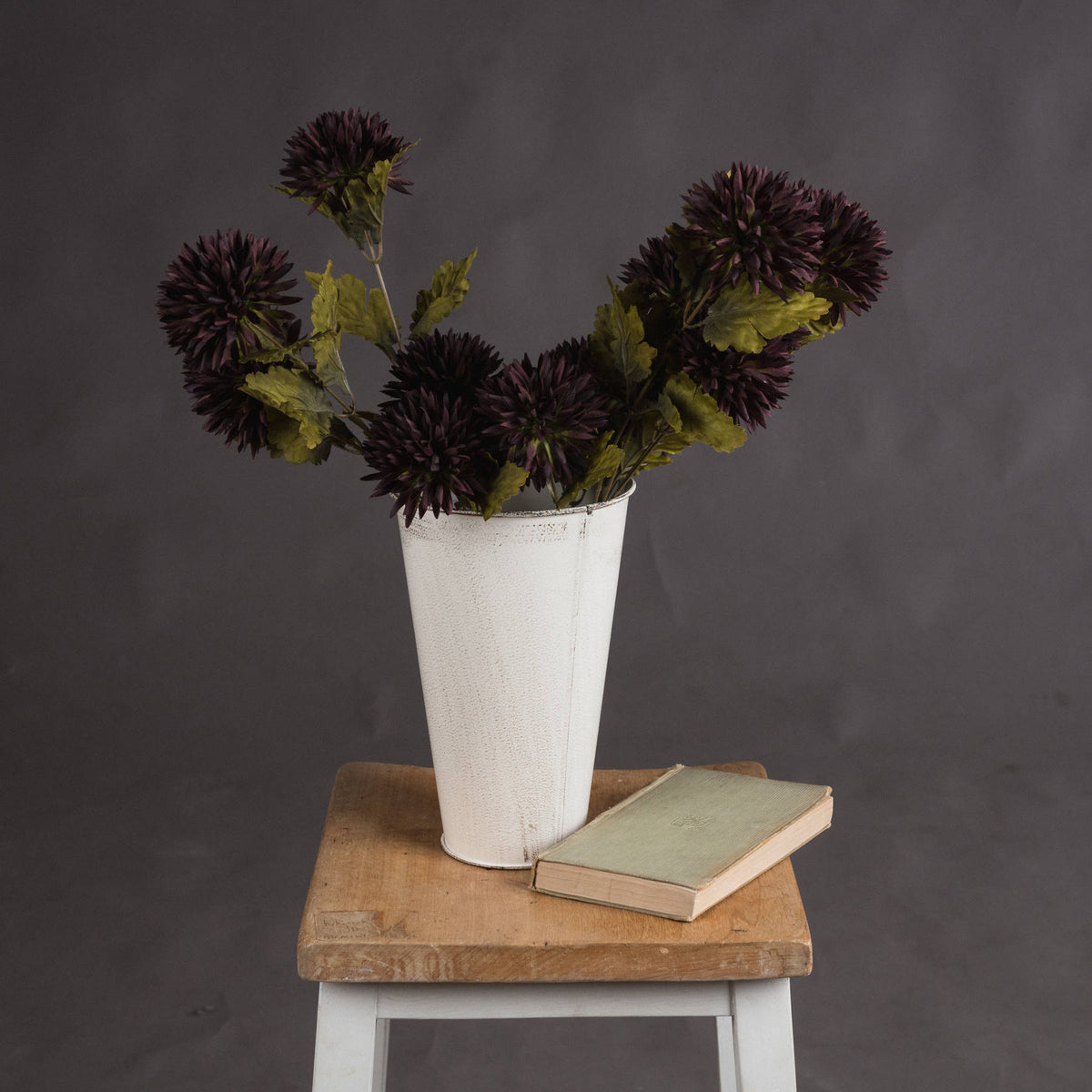 Chocolate Chrysanthemum - BROWN