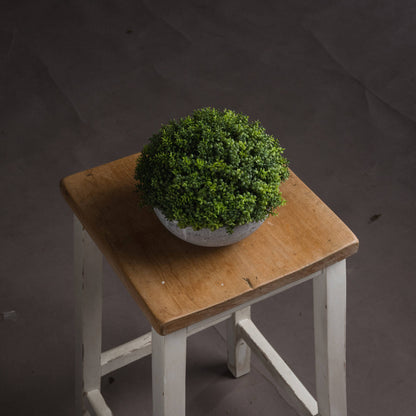 Small Hebe Globe Pot - GREEN
