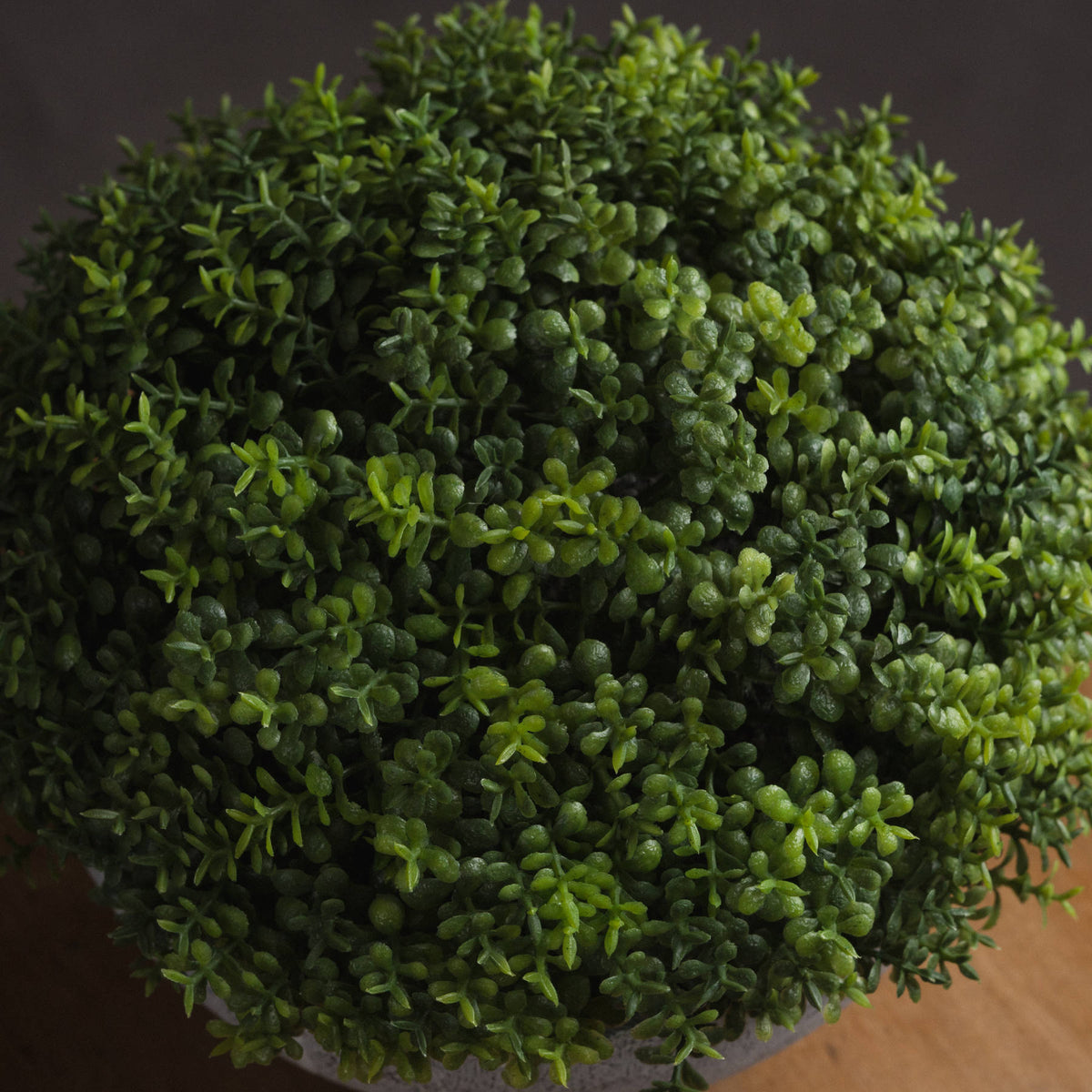 Small Hebe Globe Pot - GREEN