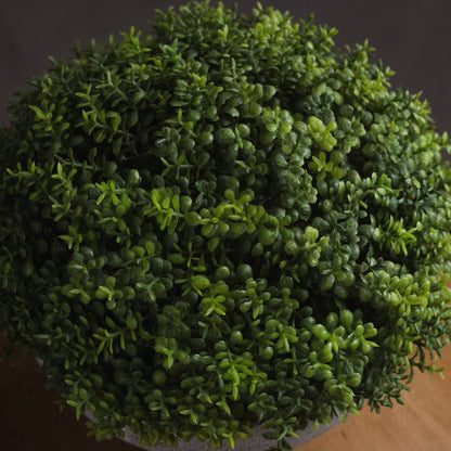 Small Hebe Globe Pot - GREEN