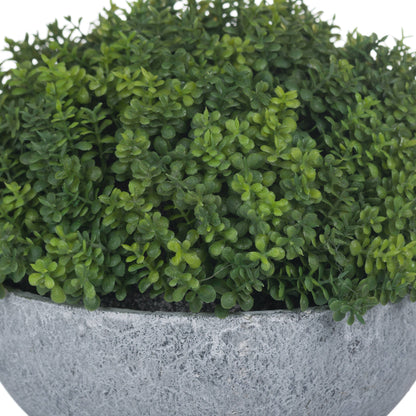 Small Hebe Globe Pot - GREEN