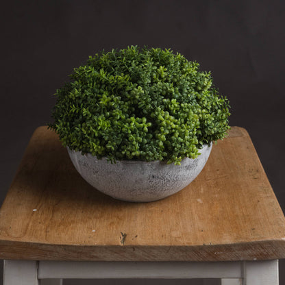 Small Hebe Globe Pot - GREEN