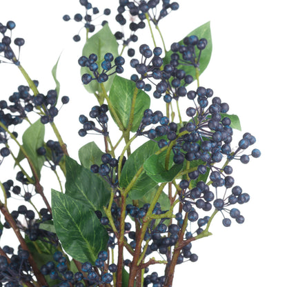 Viburnum Berry - BLUE