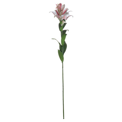 Stargazer Lily - WHITE