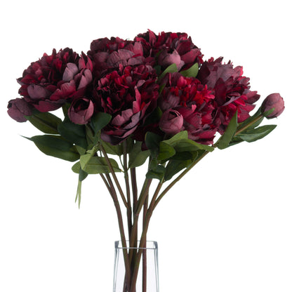 Burgundy Peony Rose - RED