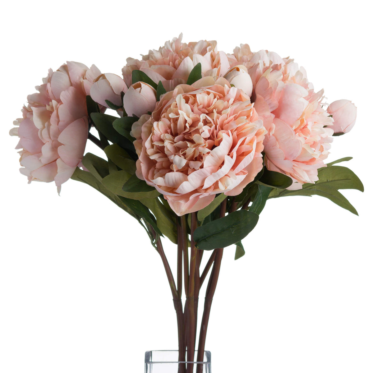 Peach Peony Rose - ORANGE