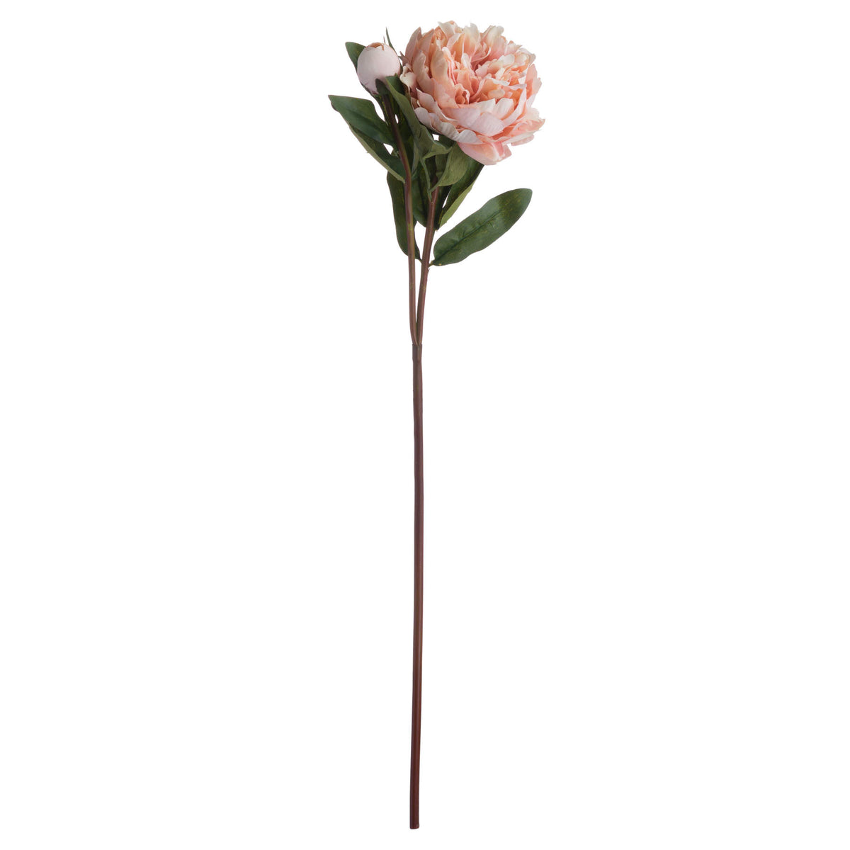Peach Peony Rose - ORANGE