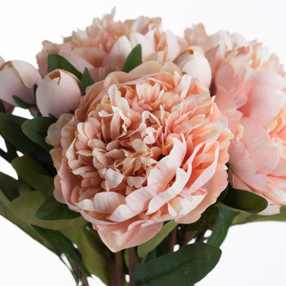 Peach Peony Rose - ORANGE
