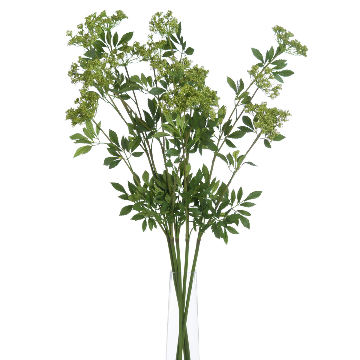 Faux Cow Parsley Ammi - GREEN