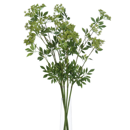 Faux Cow Parsley Ammi - GREEN