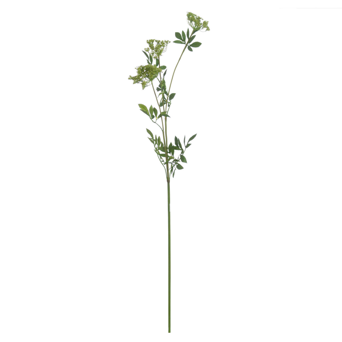 Faux Cow Parsley Ammi - GREEN