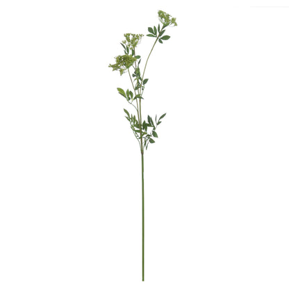 Faux Cow Parsley Ammi - GREEN