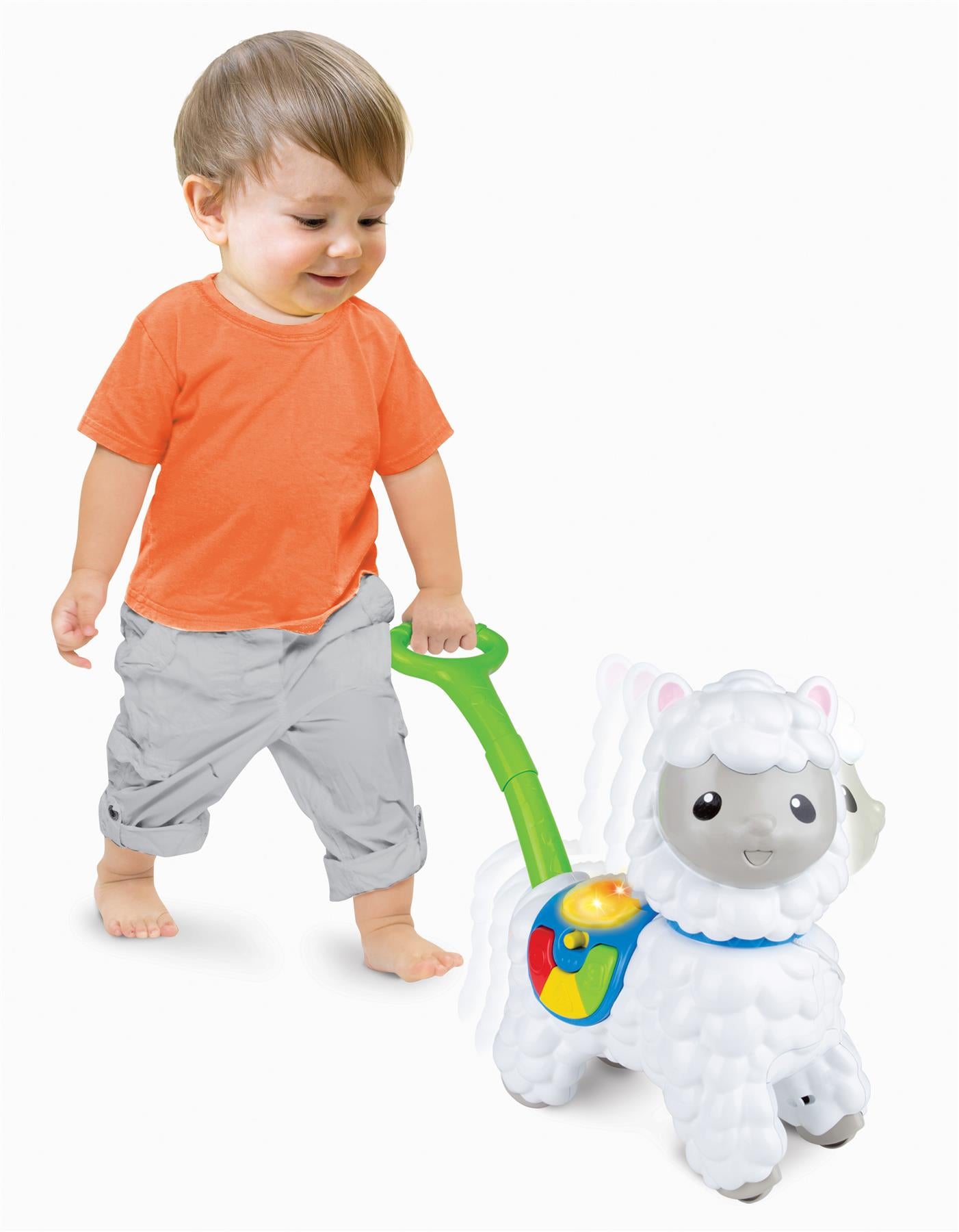Push Along Little Alpaca