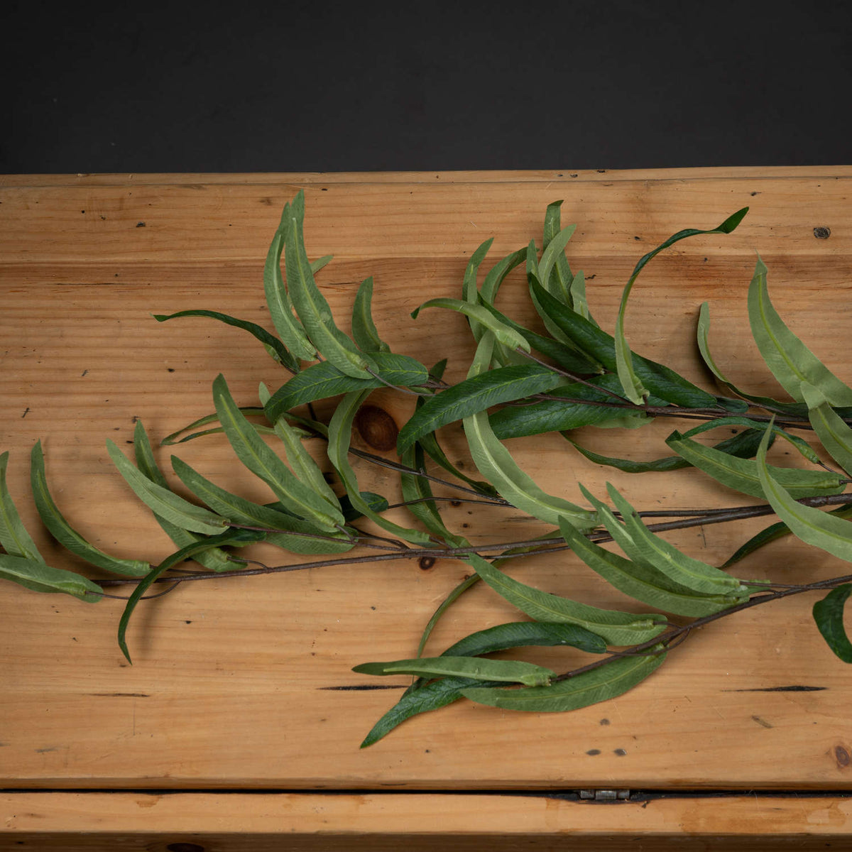 Eucalyptus Nicholii Spray - GREEN
