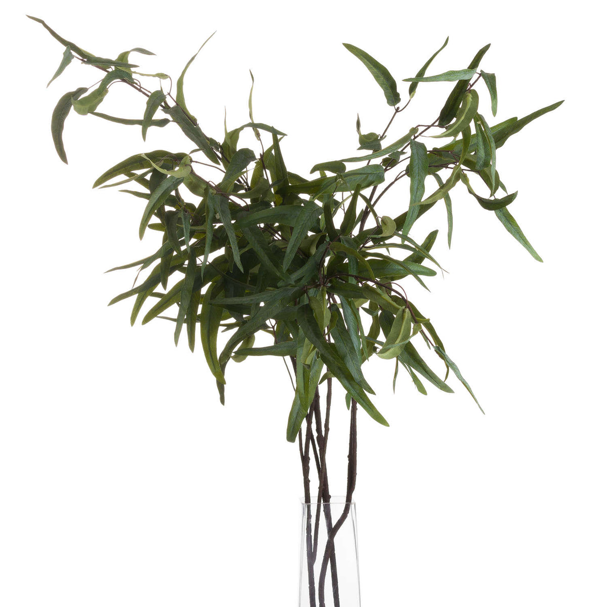 Eucalyptus Nicholii Spray - GREEN