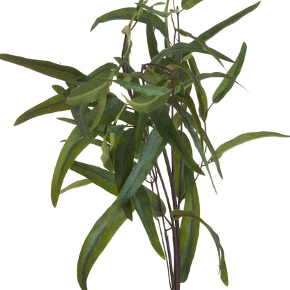Eucalyptus Nicholii Spray - GREEN