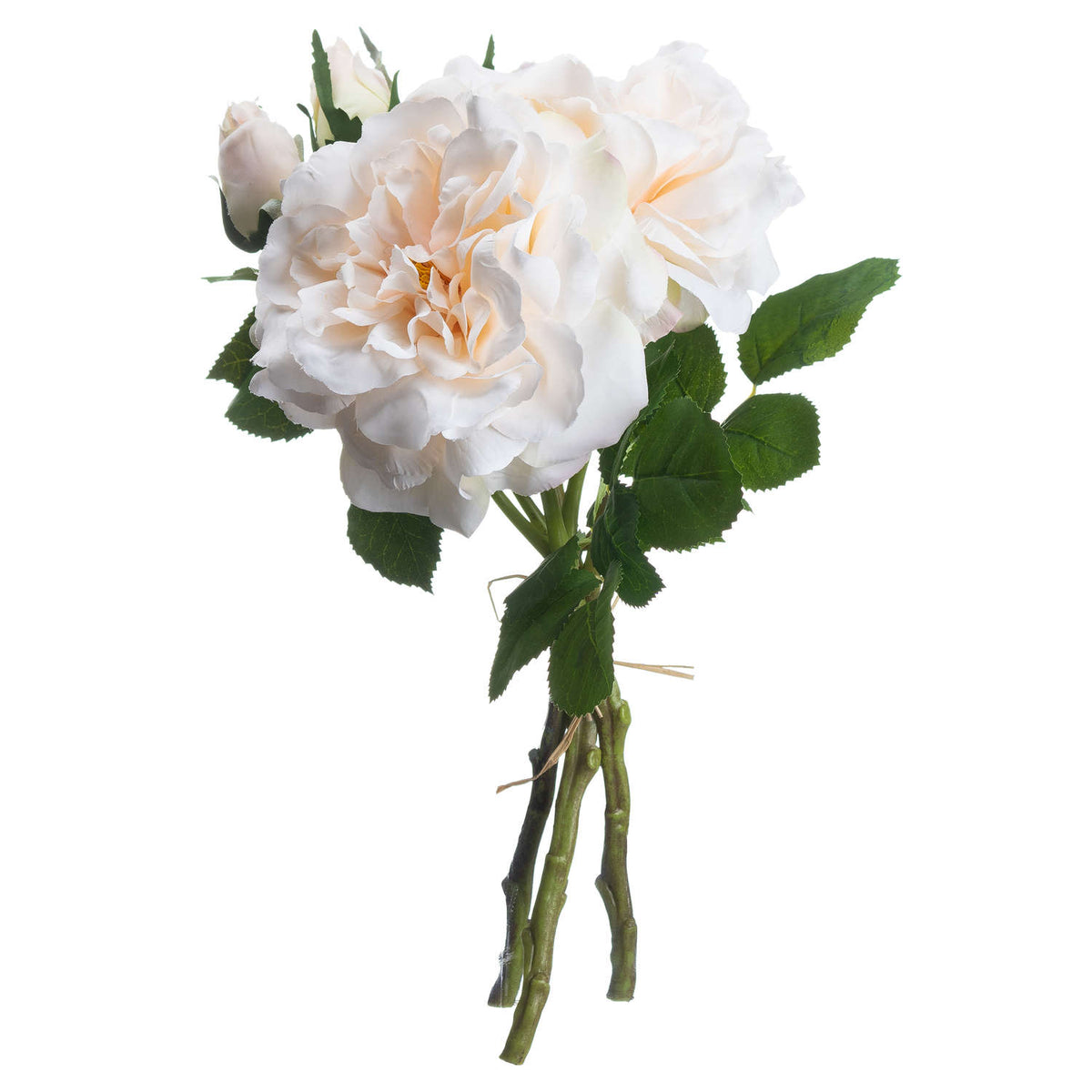 Peachy Cream Short Stem Rose Bouquet - WHITE