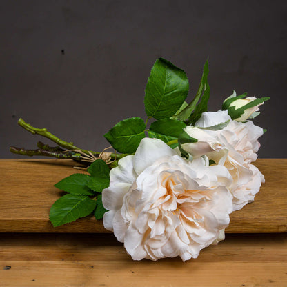 Peachy Cream Short Stem Rose Bouquet - WHITE