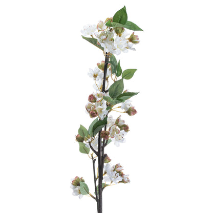 English Blossom Branch - BROWN