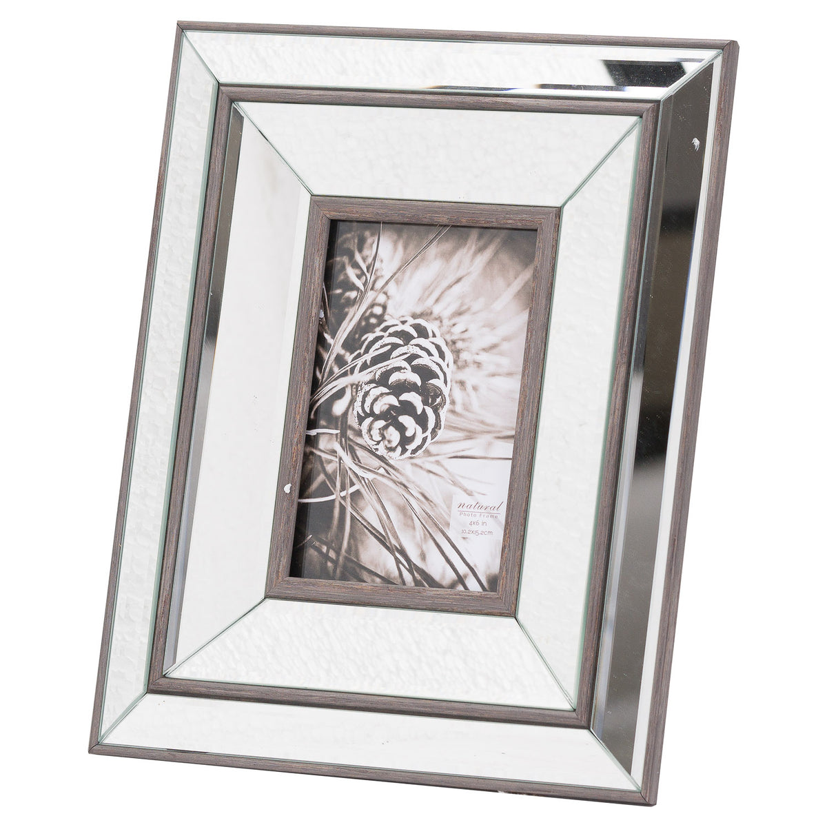 Tristan Mirror And Wood 4X6 Frame - BROWN