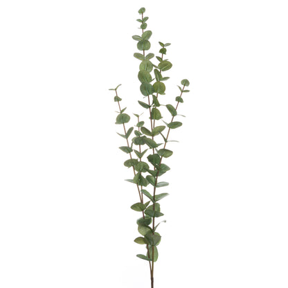 Large Cineraria Eucalyptus Spray - GREEN
