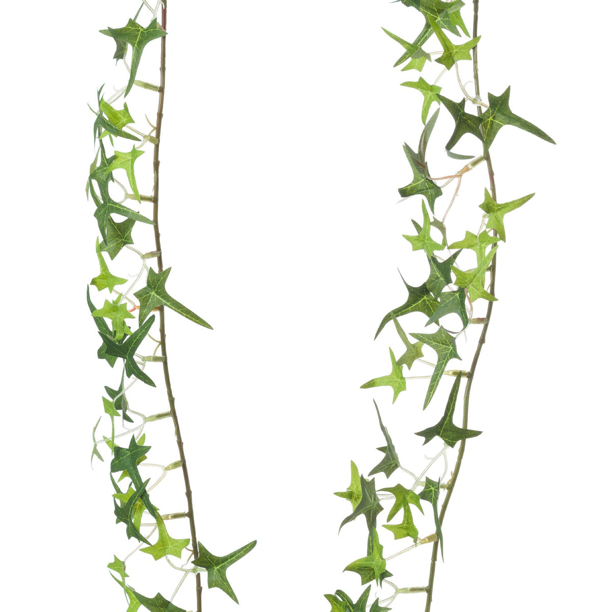 Small Ivy Garland - GREEN