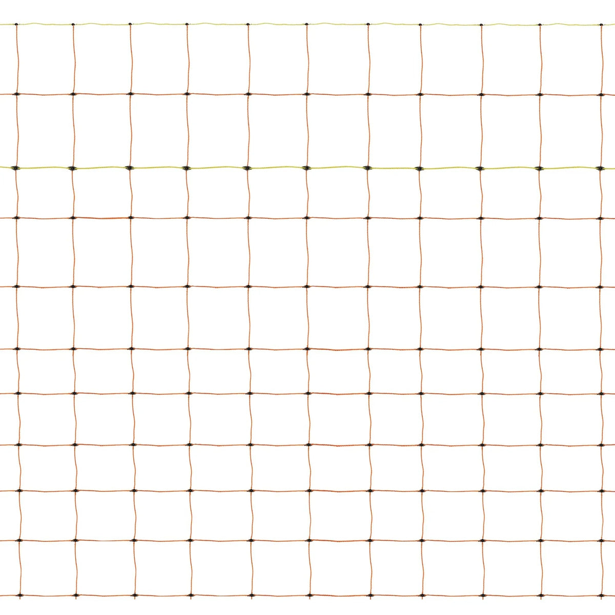Electric Poultry Netting - 50m