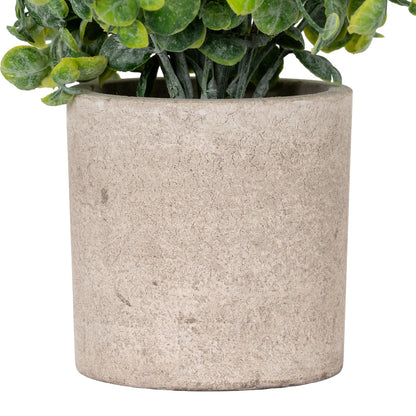 Eucalyptus Plant In Stone Effect Pot - GREEN