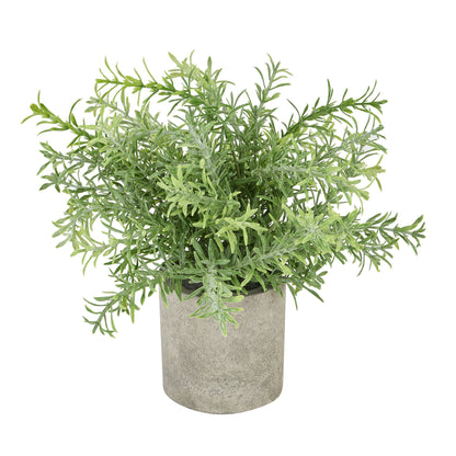 Rosemary Plant In Stone Effect Pot - GREEN