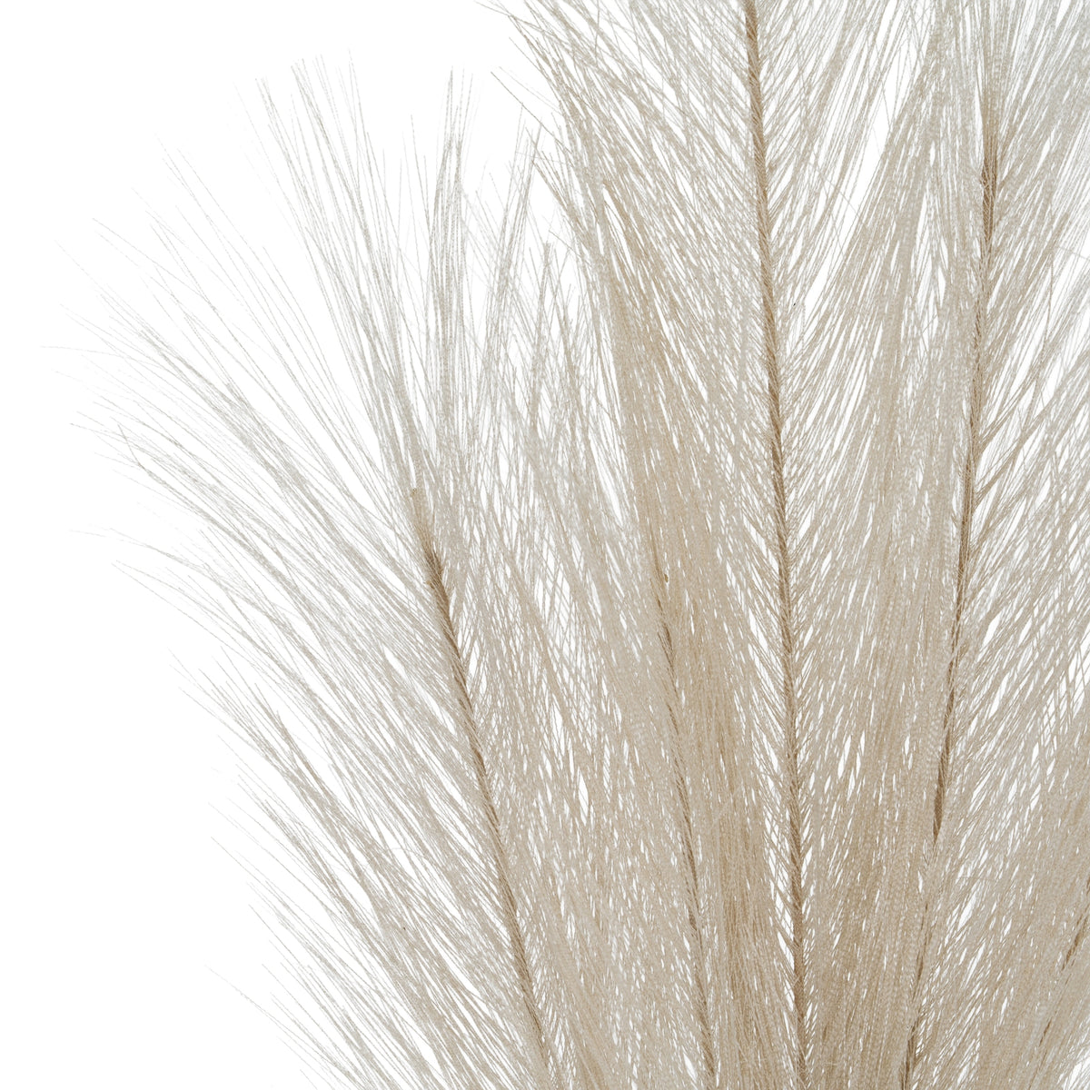 Bleached Large Faux Pampas Grass Stem - WHITE