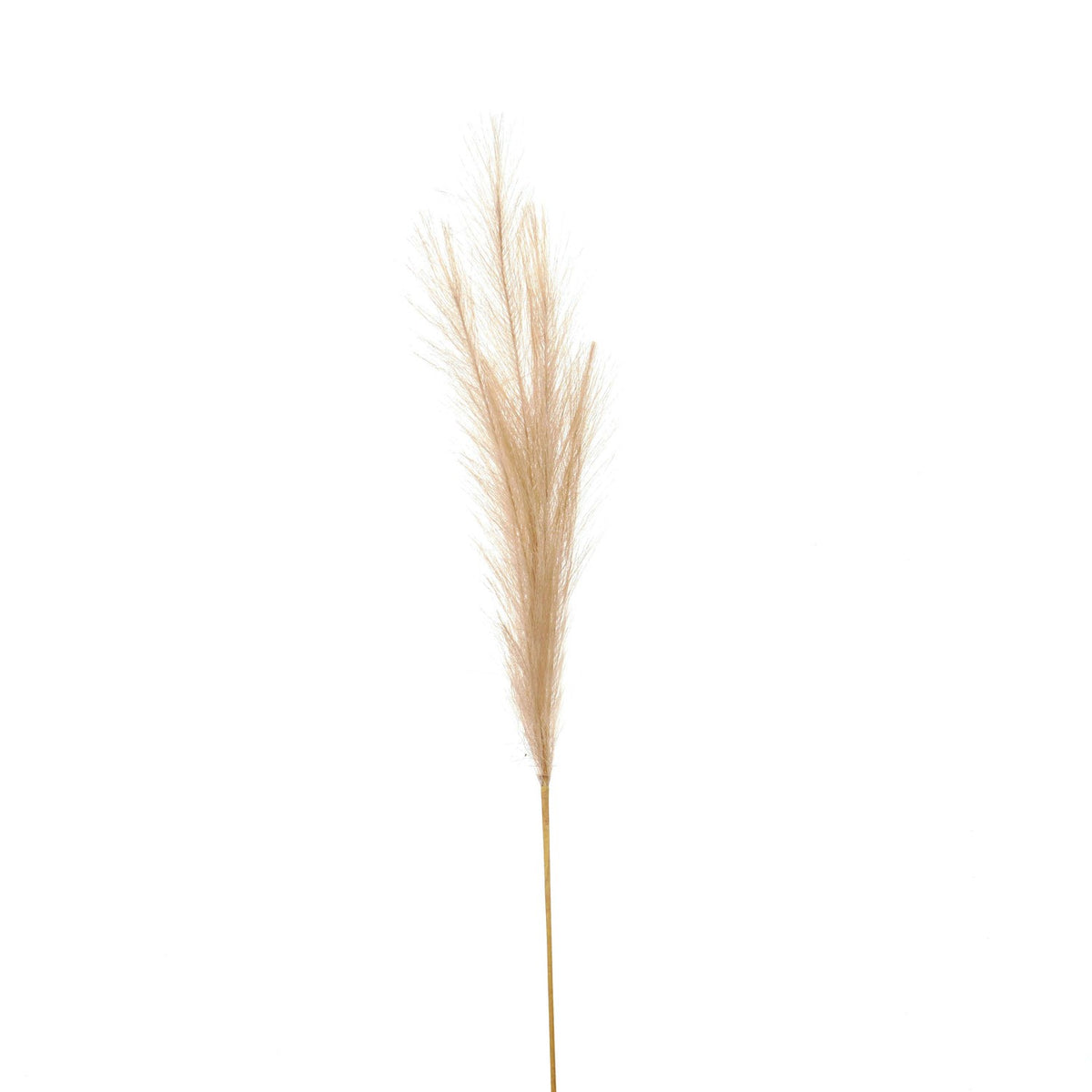 Bleached Faux Pampas Grass Stem - WHITE