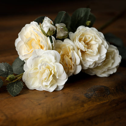 Soft White Cottage Rose Stem - GREEN