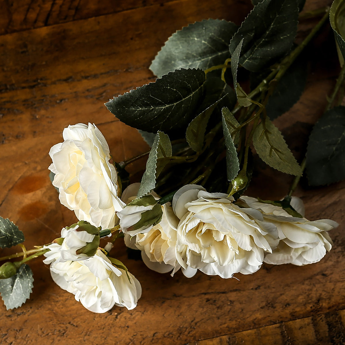 Soft White Cottage Rose Stem - GREEN