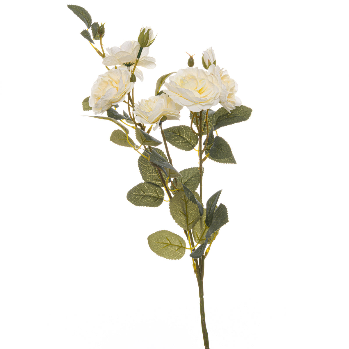Soft White Cottage Rose Stem - GREEN