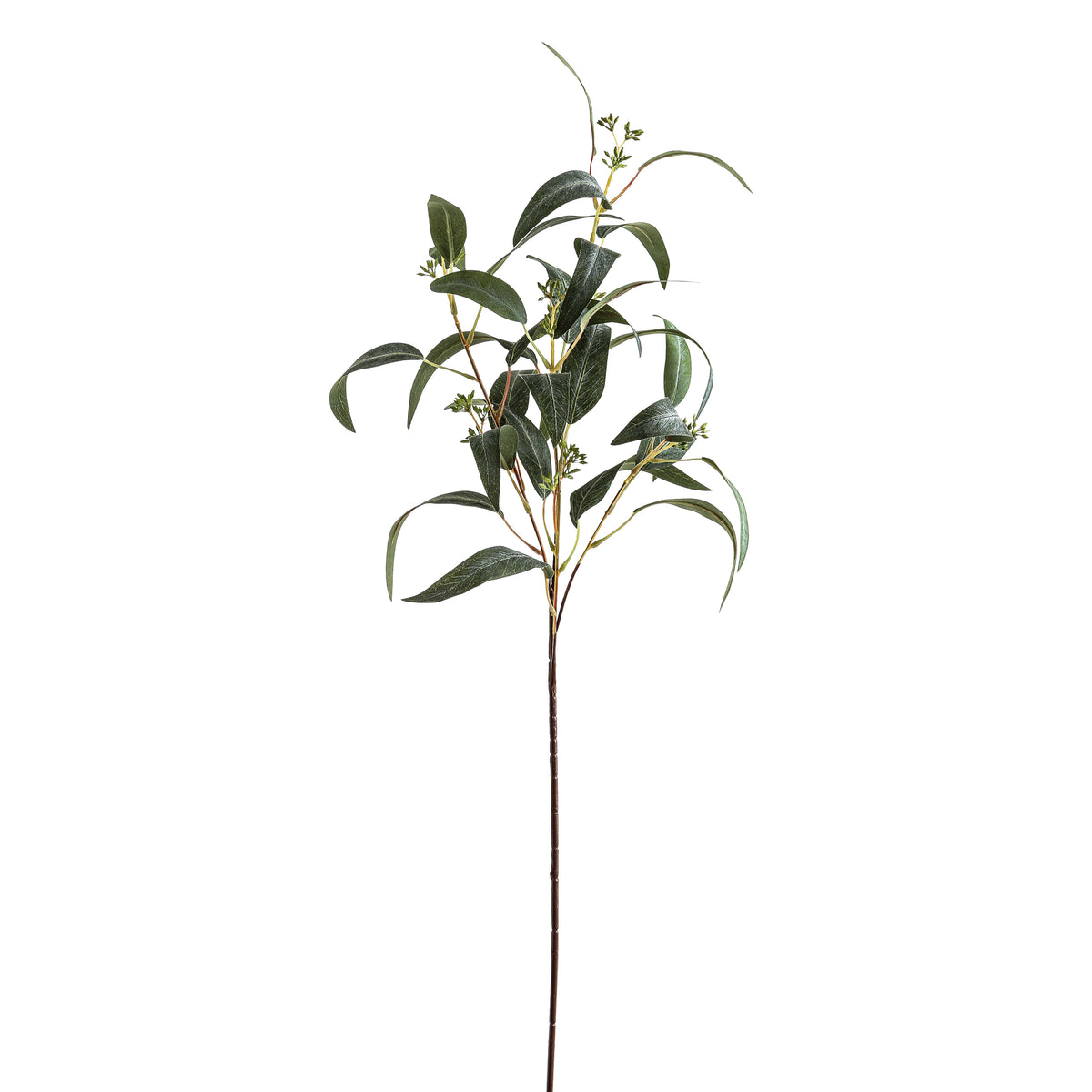 Seeded Eucalyptus Spray - GREEN