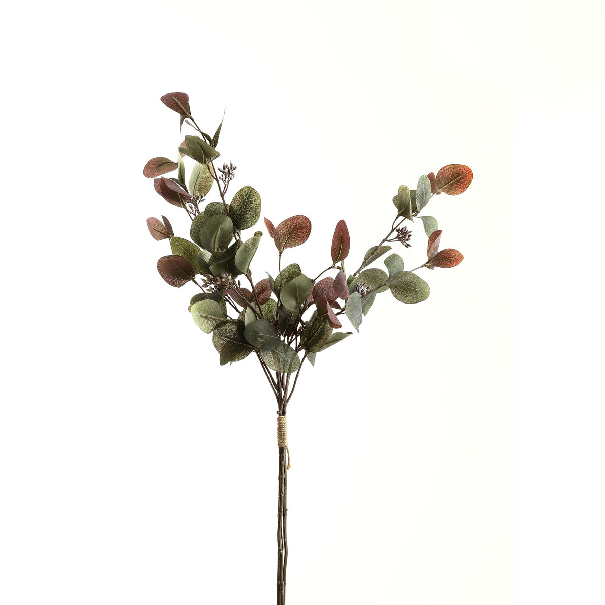 Variegated Eucalyptus Bouquet - GREEN