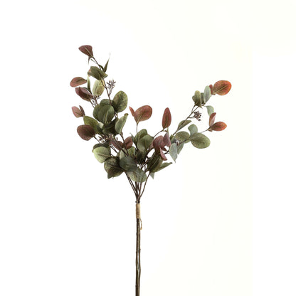 Variegated Eucalyptus Bouquet - GREEN