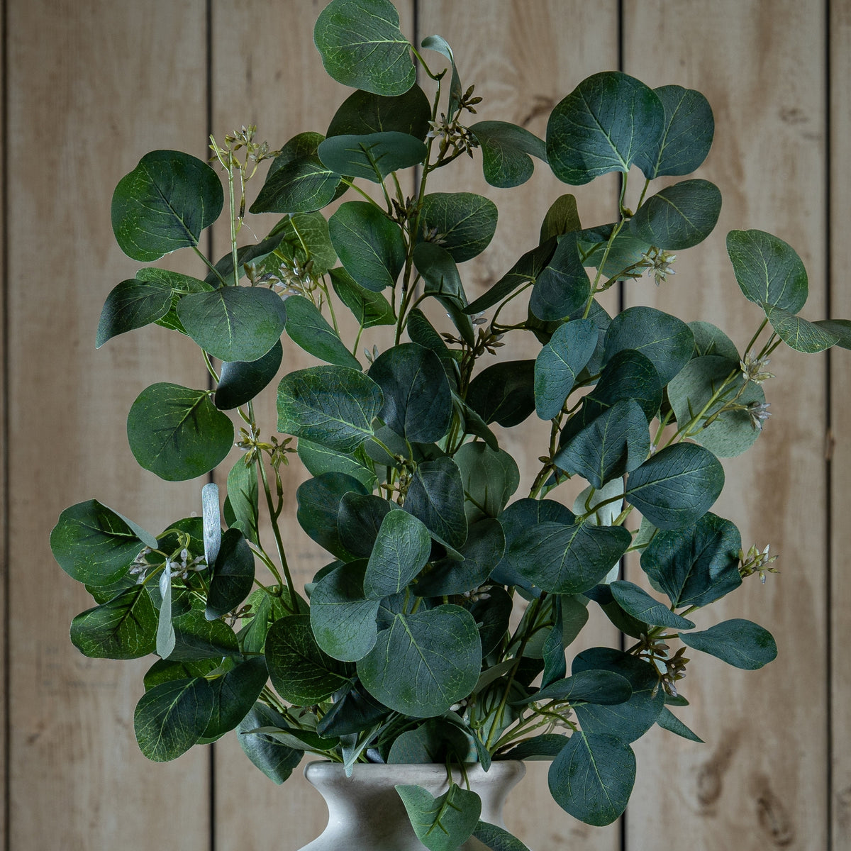 Eucalyptus Stem Spray - GREEN