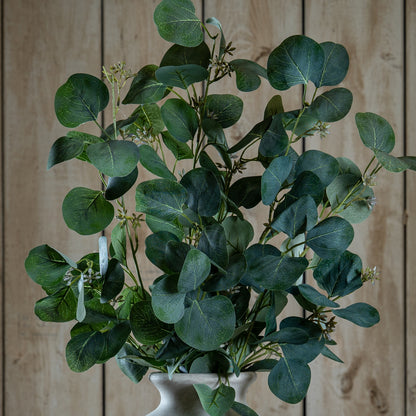 Eucalyptus Stem Spray - GREEN