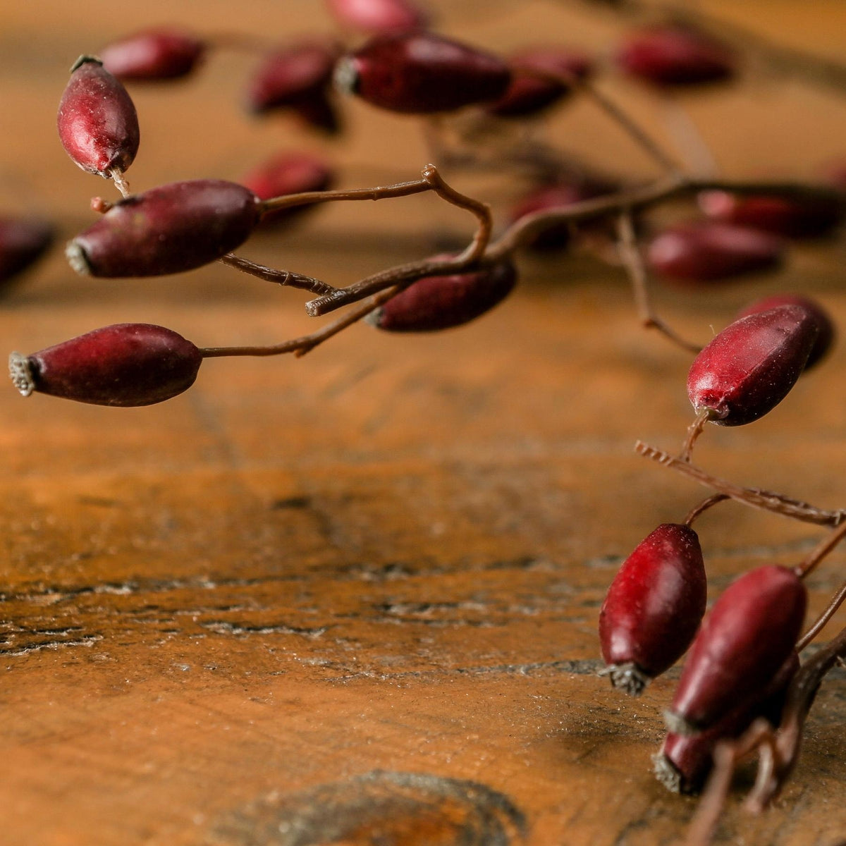 Burgundy Rosehip Stem - RED
