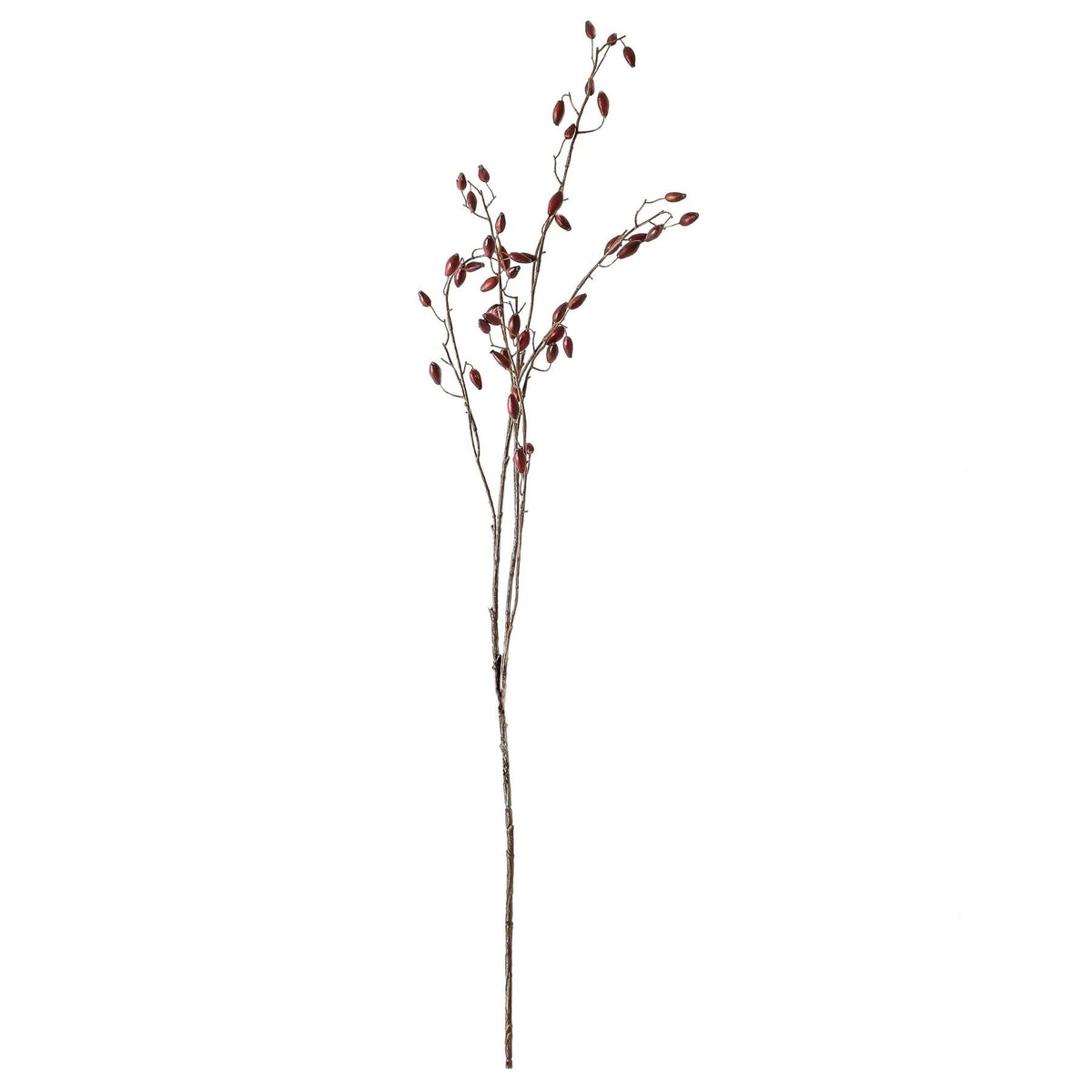 Burgundy Rosehip Stem - RED