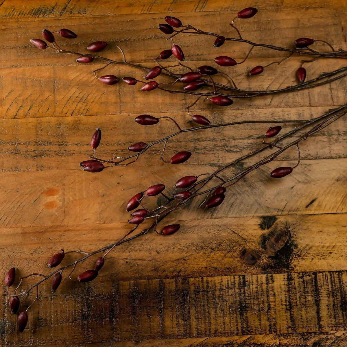 Burgundy Rosehip Stem - RED