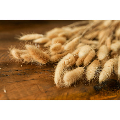 Bouquet Of Tall Bunny Tails - WHITE
